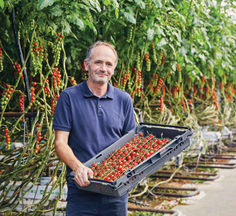 Lidl produce sourcing